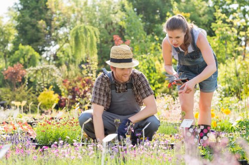 Gardener preparing a Hampstead terrace front garden for tidy-up